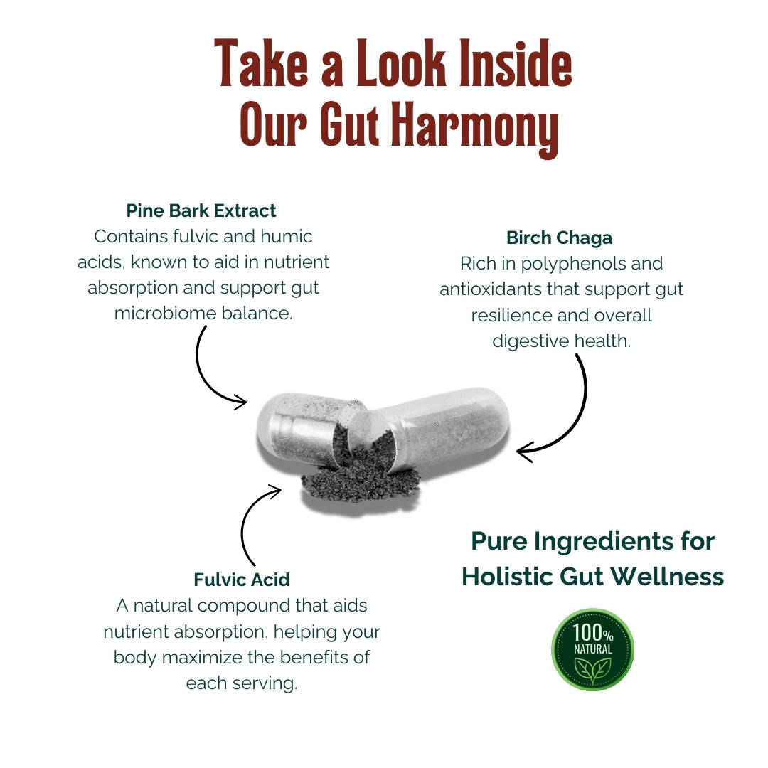 Ingredients in Gut Harmony Capsules - Birch Chaga, Pine Bark extract, and Fulvic Acid for gut health.