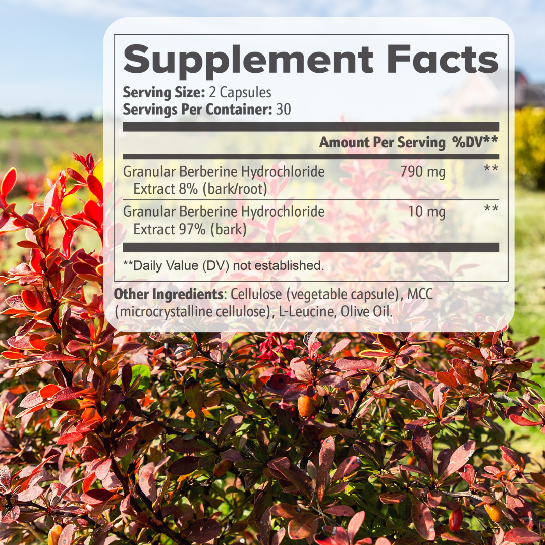 Supplement facts for VitalCore Berberine – natural metabolic health and glucose balance supplement with Berberine hydrochloride.