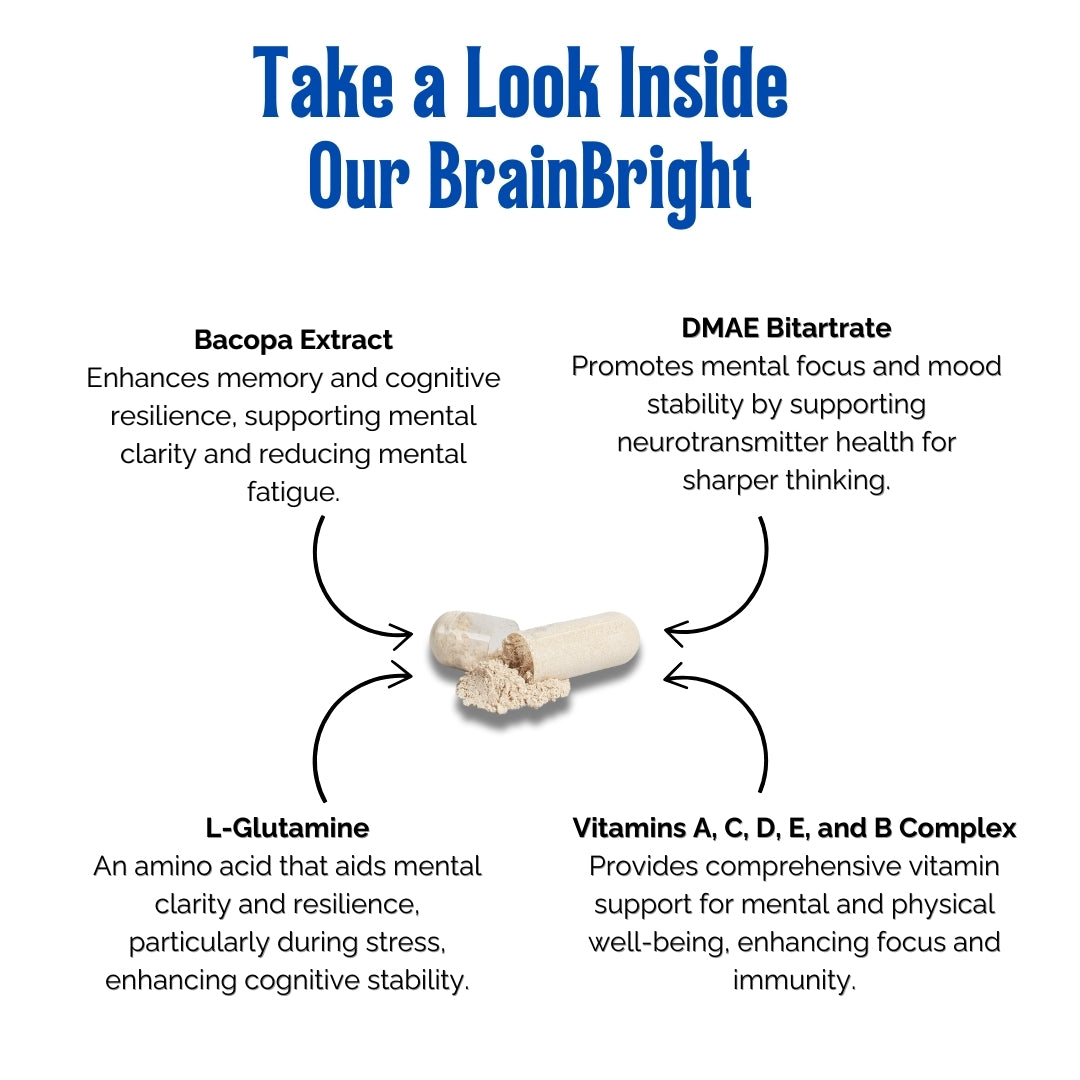 Key ingredients in BrainBright, including DMAE, Bacopa, L-Glutamine, and vitamins for mental clarity and focus.