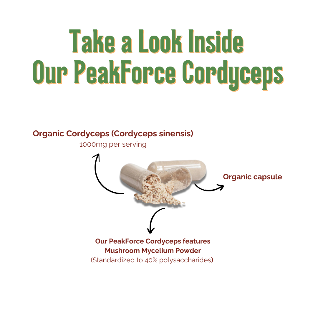  Key ingredients of PeakForce Cordyceps by Zukra Energy: Organic Cordyceps sinensis with 40% polysaccharides.